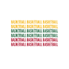 Lithuania basketball fan