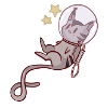 chat de l'espace