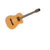 Guitar guitarist music