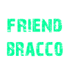 Bracco Italiano - True Friend