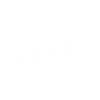 GSXR Evolution