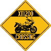 XT1200 Enduro Crossing