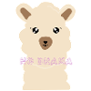No drama Lama