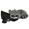Raccoon sleeping computer night