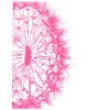 Dandelion line / pink