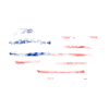 Stars and Stripes Map