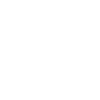 VIP team