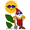 Garden gnome, sunflower, sunglasses
