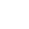Cairn Terrier