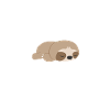Nope Not Today