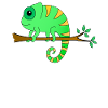 Chameleon on a branch