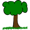 Tree on meadow