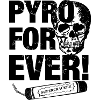Fireworks skull Firecracker