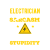 Electrician electrician