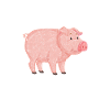 vegetarian