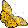 Butterfly Butterfly Birthday birthday