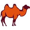 camel wild animal 29