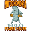 Mitochondria cell biology teacher gift