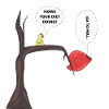 Funny birds