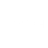 Police Shield