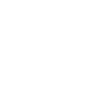 automobile