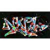 NINA