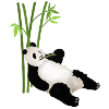 Panda, panda bear