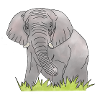Éléphant