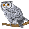 Eagle owl, owl
