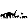 Silhouettes of animals