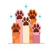 Dog paws