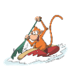 Affe im Kanu