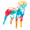 Anatolian shepherd dog