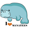 Manatee Love