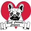 Bouledogue français, bouledogue français ... / +