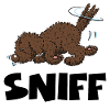 sniff1 2