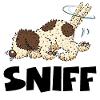sniff1 1