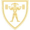 Viking Barbell training