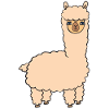 alpaca