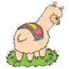 Alpaca on meadow.