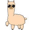 Alpaca with sunglasses