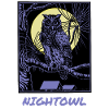 Nightowl night owl