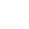 Ninjutsu