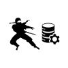 Data Ninja | Chemise Data Science