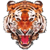 Tiger polygon design