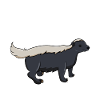 Honey Badger Has Arrived