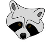 racoon