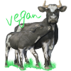 Cow with calf - vegan