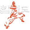 Hapkido