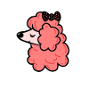 Poodle with a bow